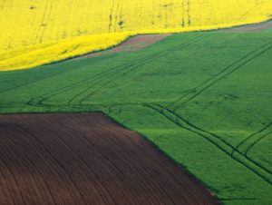 Warsztaty fotografii na Morawach
