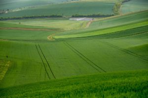 Warsztaty fotografii na Morawach