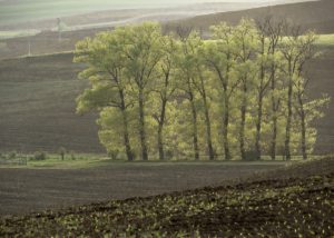 Warsztaty fotografii na Morawach