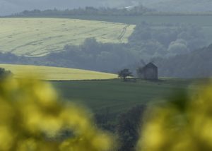 Warsztaty fotografii na Morawach