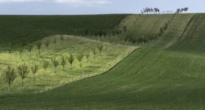 Warsztaty fotografii na Morawach