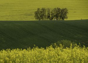 Warsztaty fotografii na Morawach