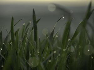 Warsztaty fotografii na Morawach