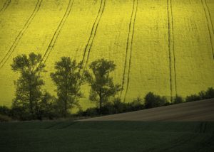 Warsztaty fotografii na Morawach