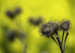 Warsztaty fotografii na Morawach