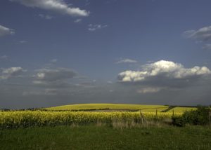 Warsztaty fotografii na Morawach