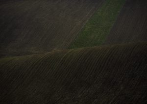 Warsztaty fotografii na Morawach