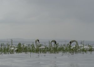 Warsztaty fotografii na Morawach