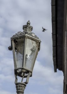 Warsztaty fotografii na Morawach