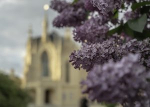 Warsztaty fotografii na Morawach
