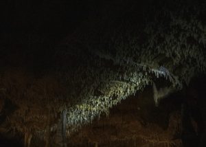 Warsztaty fotografii na Morawach