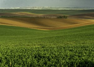 Warsztaty fotografii na Morawach