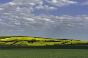Warsztaty fotografii na Morawach