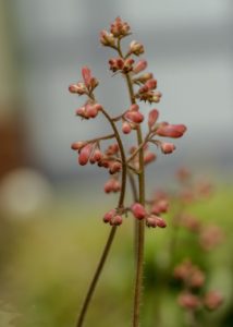 Warsztaty fotografii na Morawach