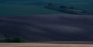 Warsztaty fotografii na Morawach