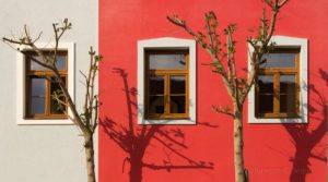 Warsztaty fotografii na Morawach