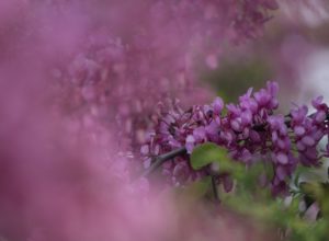 Warsztaty fotografii na Morawach