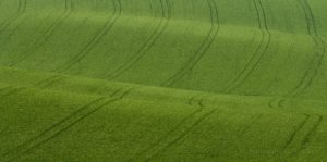 Warsztaty fotografii na Morawach