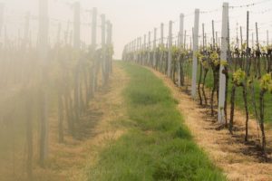 Warsztaty fotografii na Morawach