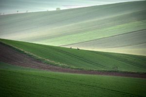 Warsztaty fotografii na Morawach