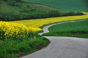 Warsztaty fotografii na Morawach