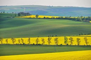Warsztaty fotografii na Morawach