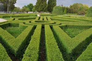 Warsztaty fotografii na Morawach