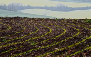 Warsztaty fotografii na Morawach