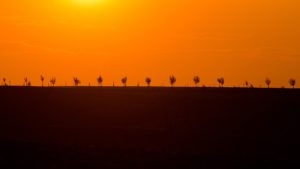 Warsztaty fotografii na Morawach