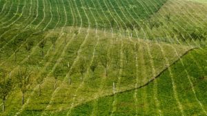 Warsztaty fotografii na Morawach