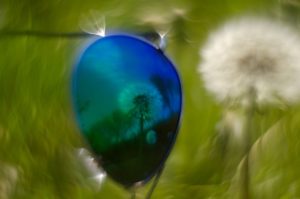 Warsztaty fotografii na Morawach