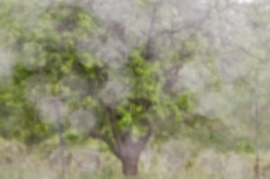 Warsztaty fotografii na Morawach