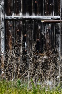 Warsztaty fotografii na Morawach