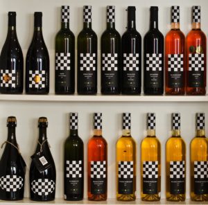 Warsztaty fotografii na Morawach