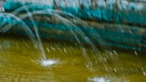 Warsztaty fotografii na Morawach