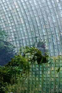 Warsztaty fotografii na Morawach