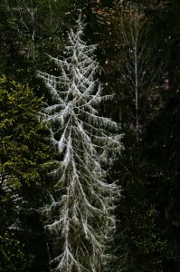 Warsztaty fotografii na Morawach