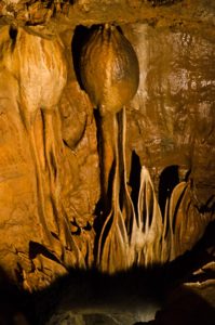 Warsztaty fotografii na Morawach