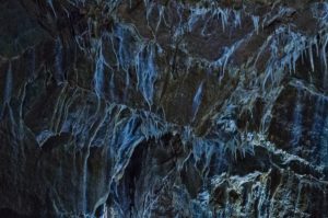 Warsztaty fotografii na Morawach