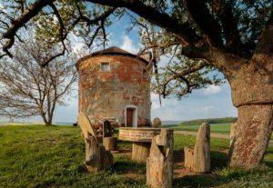 Warsztaty fotografii na Morawach