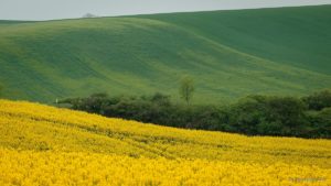 Warsztaty fotografii na Morawach