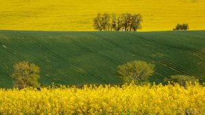 Warsztaty fotografii na Morawach