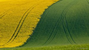 Warsztaty fotografii na Morawach