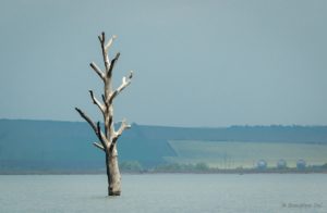Warsztaty fotografii na Morawach