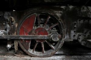 Fot. Agnieszka Rosińska_02