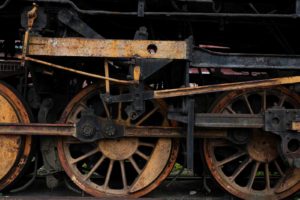 Fot. Agnieszka Rosińska_07