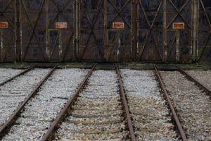 Fot. Agnieszka Rosińska_08