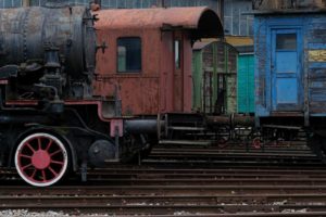 Fot. Agnieszka Rosińska_09