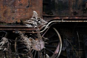 Fot. Agnieszka Rosińska_11