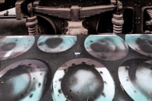 Fot. ELżbieta Zawadzka_01